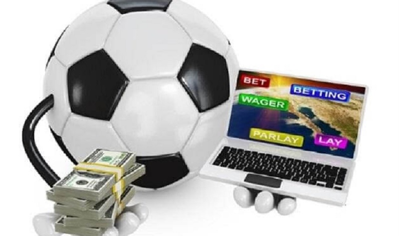 Cách ra quyết định trong cá độ một cách chính xác nhất